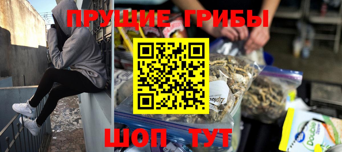 Галлюциногенные грибы мицелий  Вход с VPN  купить наркоту  Псилоцибиновые грибы прущие грибы  Йошкар-Ола 